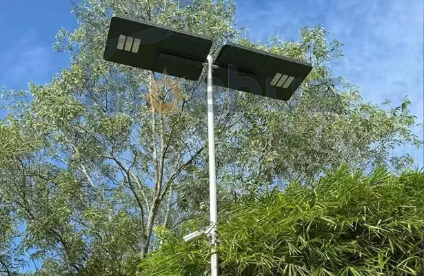 Almal in een sonstraatligte